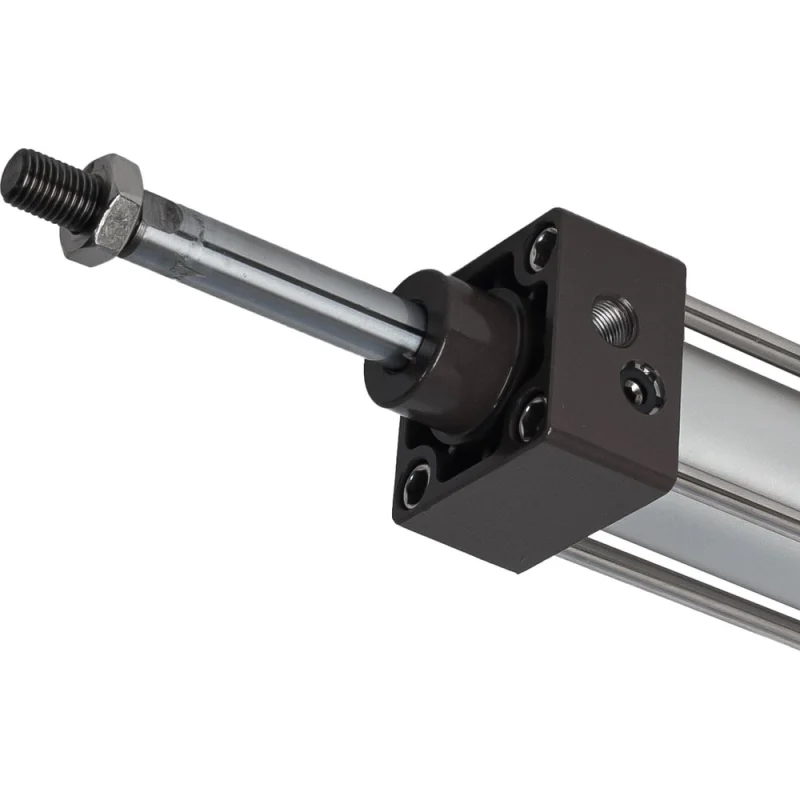 ΠΠ½Π΅Π²ΠΌΠΎΡΠΈΠ»ΠΈΠ½Π΄Ρ NBPT SC 100x250-S 81104