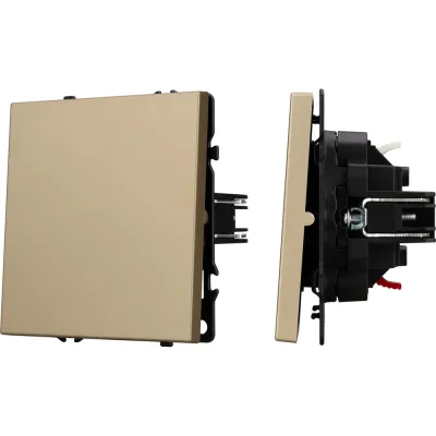 Механизм звонкового выключателя Arlight SWT-NOBE-MKR1-SFPL-GD 1шт 054271(1)