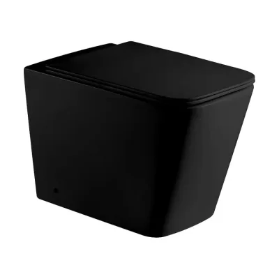 Сиденье для унитаза Weltwasser WW 5020 MT- BL черное матовое 10000005657