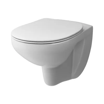 Elder подвесной унитаз Damixa безободковый, с сиденьем микролифт DX17C1700SC