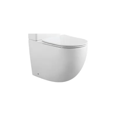 Чаша для напольного унитаза Aquanet Cetus 2.0 C1 с сидением, с Rimless 00243538