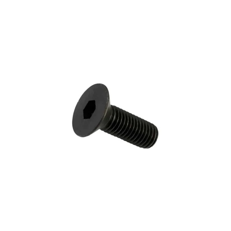 Винт Sm6-10xa1 ZCC-CT 00001215178
