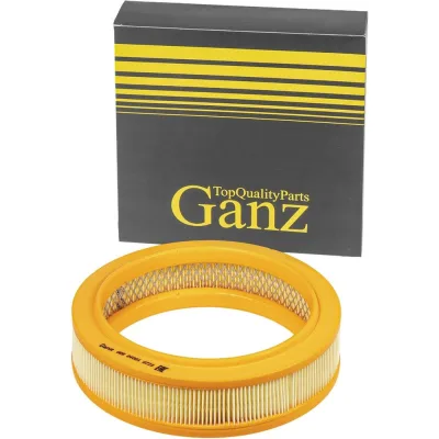Π€ΠΈΠ»ΡΡΡ Π²ΠΎΠ·Π΄ΡΡΠ½ΡΠΉ ΠΠΠ 2101-09 GANZ GRR04001