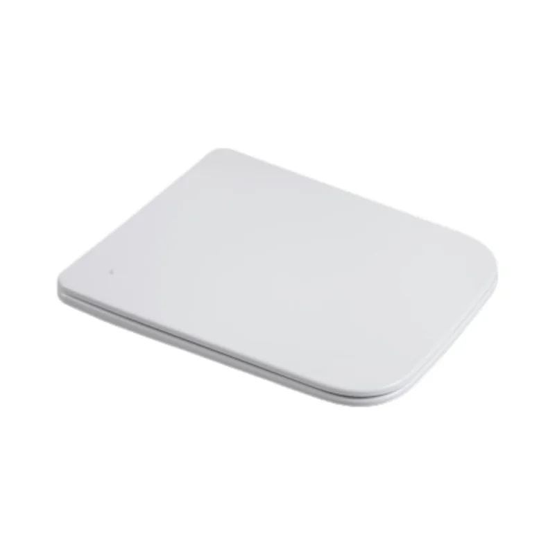Сиденье для унитаза WeltWasser WW 010 GL-WT 10000003670