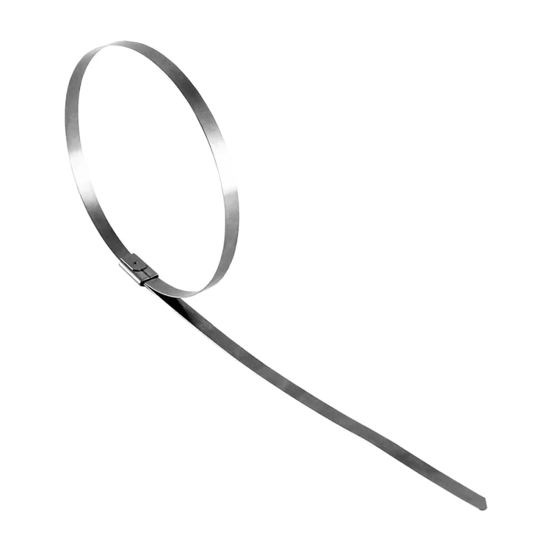 Стальной хомут TDM ELECTRIC ХС 304 7,9х200, 50 шт. SQ0582-0015
