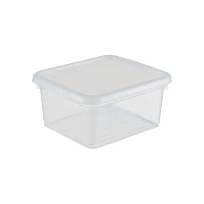 Ящик для хранения с крышкой FunBox, 2 л, Бейсик FB1011