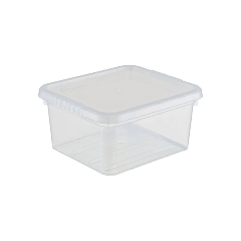 Ящик для хранения с крышкой FunBox, 2 л, Бейсик FB1011