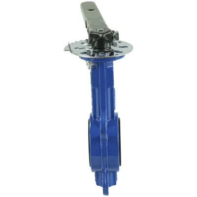 Дисковый поворотный затвор DN.ru GGG50-GGG40-EPDM Ду65 Ру16 с рукояткой D050-08306