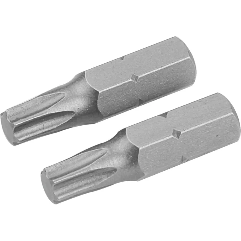 Набор вставок бит торцевых 1/4", Torx, T10, 25 мм, 2 шт TOLSEN 20221