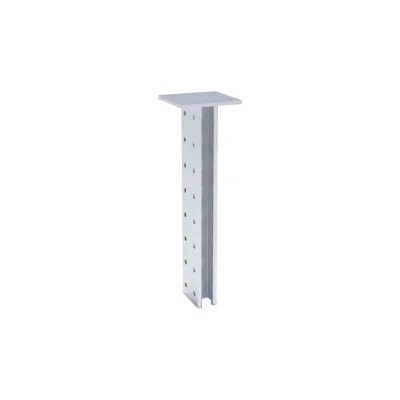 STRUT стойка двойная ООО "СТАЛЬНЫЕ СИСТЕМЫ" 41x41, 2,0 мм, L=1200 мм SR25120-17