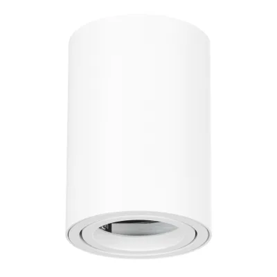 Π‘ΠΏΠΎΡ ΠΏΠΎΡΠΎΠ»ΠΎΡΠ½ΡΠΉ Arte Lamp Sentry GU10 50 ΠΡ 1 ΠΊΠ².ΠΌ Π±Π΅Π»ΡΠΉ IP20 (A1560PL-1WH/6037)