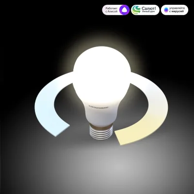 Π£ΠΌΠ½Π°Ρ Π»Π°ΠΌΠΏΠ° Elektrostandard Classic LED Π60 Π27 12W 3300Π-6500Π BLE2778 a071004