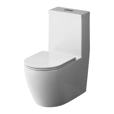 Унитаз-моноблок безободковый с сиденьем AM.PM Func C8F8900SC