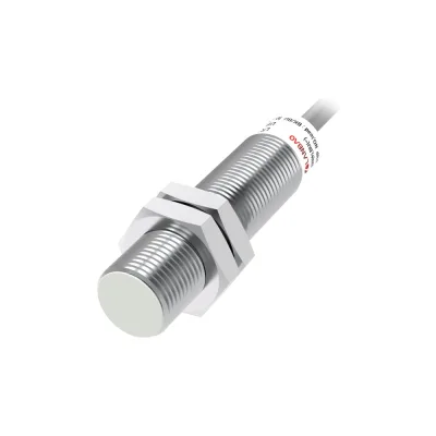 Индуктивный бесконтактный выключатель Lanbao LR12XBF04DPRY  07-00040773