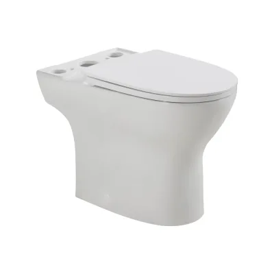Чаша безободкового унитаза BelBagno LOUNGE с сиденьем дюропласт soft close, P-trap, BB045CPR/SC