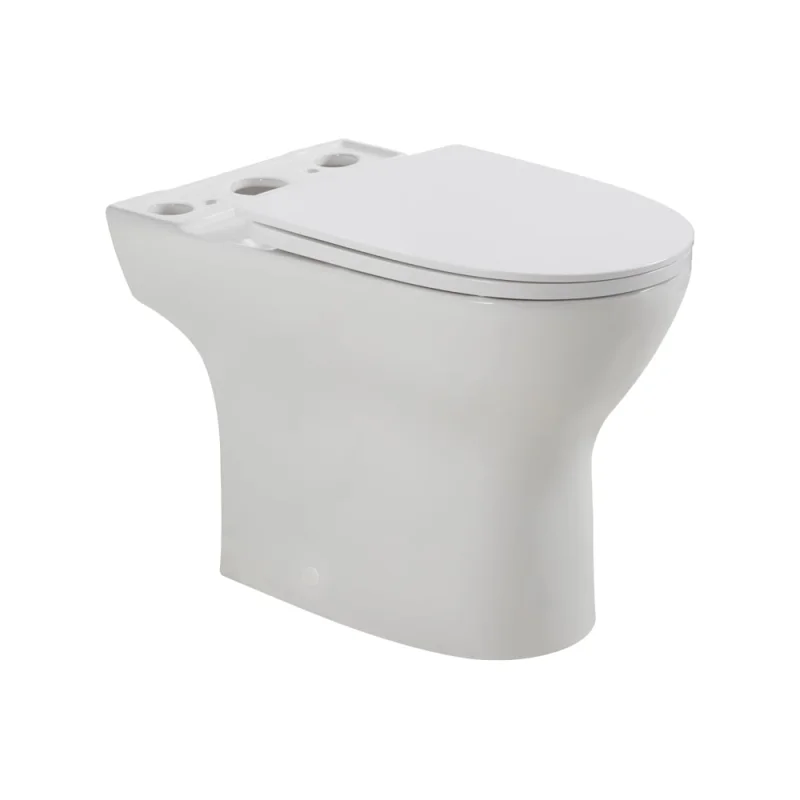 Чаша безободкового унитаза BelBagno LOUNGE с сиденьем дюропласт soft close, P-trap, BB045CPR/SC