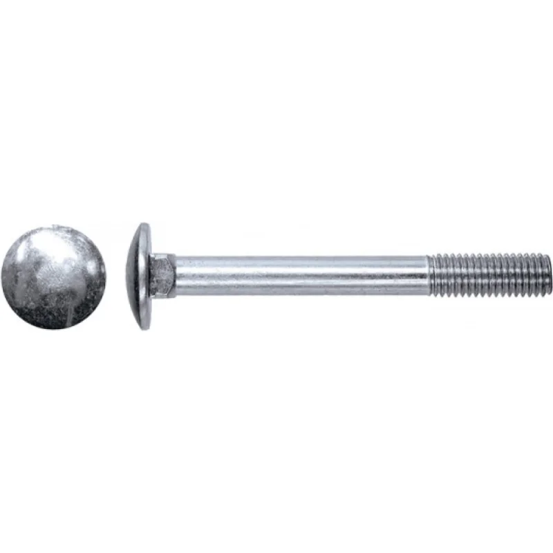 Болт ЦКИ DIN603, М6x20, A2, 25 шт 26243