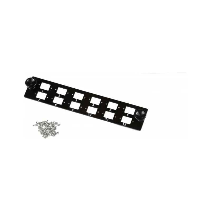 ΠΠ΄Π°ΠΏΡΠ΅ΡΠ½Π°Ρ ΠΏΠ°Π½Π΅Π»Ρ LANMASTER Π½Π° 12 SC/24 LC Π°Π΄Π°ΠΏΡΠ΅ΡΠ°, Π΄Π»Ρ ΠΊΡΠΎΡΡΠ° LAN-FOB10-1P LAN-FP10-12SC