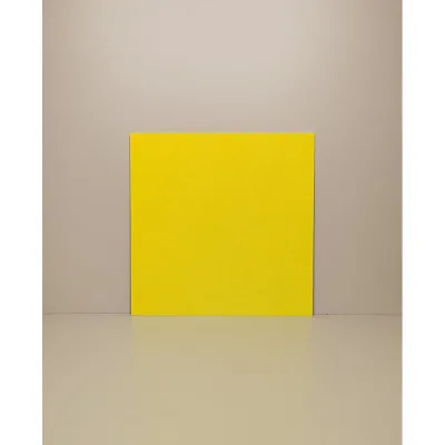 Акустический войлок Cosca Decor 600x600x9 желтый 00-00083883
