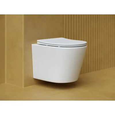 Подвесной унитаз Ceramicanova Balearica Rimless белый матовый CN6000MW
