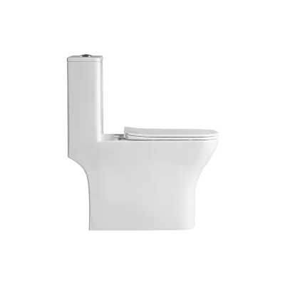 Унитаз-моноблок BelBagno NEON с сиденьем дюропласт soft close, P-trap BB8617CPR-MN/SC