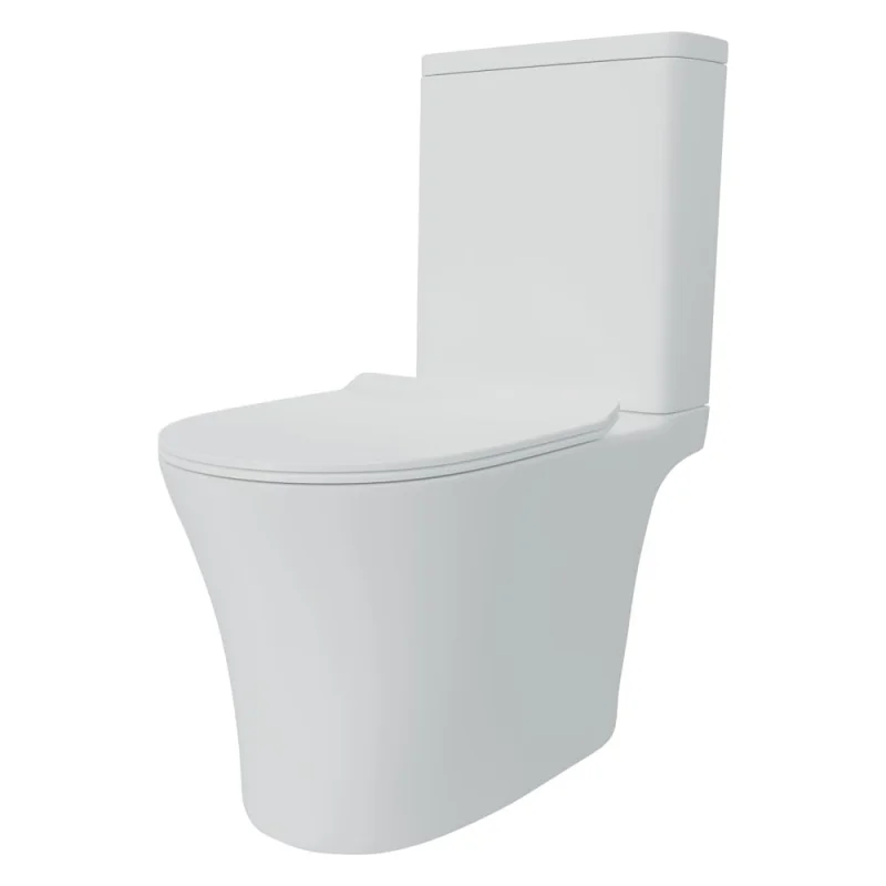 Унитаз напольный Teymi Ritta Pro безободковый, сиденье микролифт T40810 ЦБ-00270126