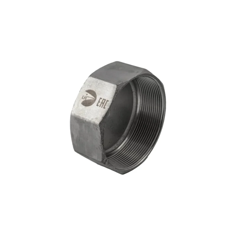 Заглушка В/Р 6-ти гранная нержавеющая NEWKEY AISI304 DN6 (1/8), (CF8), PN16, набор 4 шт NAB4-NK-DTP6/4