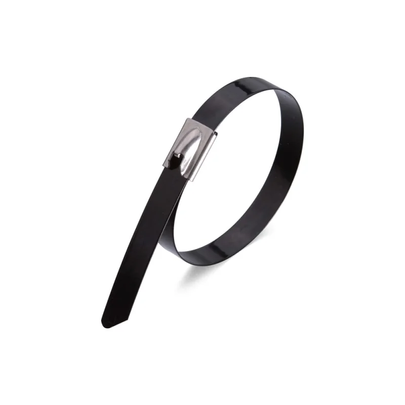 Π‘ΡΠ°Π»ΡΠ½ΡΠ΅ ΡΡΡΠΆΠΊΠΈ Ρ ΠΏΠΎΠΊΡΡΡΠΈΠ΅ΠΌ FORTISFLEX Π‘ΠΠ‘-Π 316 4,6Ρ
100 79373
