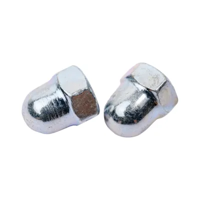 Колпачковая гайка ЕВРОПАРТНЕР DIN 1587, zn, m5, 8 шт. 12 0877 1