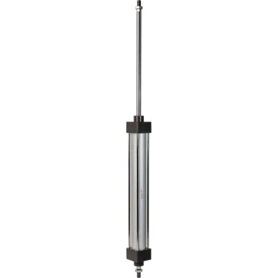 Пневмоцилиндр NBPT SCD 32x250-S 81746