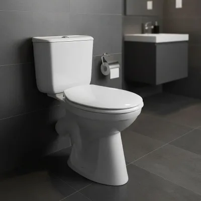 Унитаз-компакт Santek БРИЗ 1.WH30.2.138, 00000040414 1WH302138