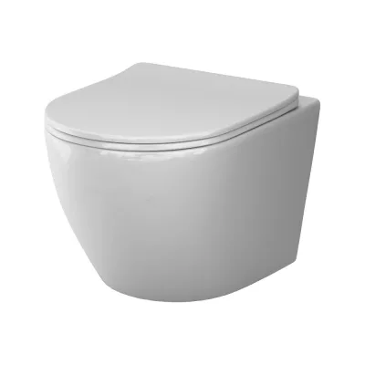 Подвесной унитаз AM.PM Like AquaSpin 2.0 с сиденьем микролифт C801901SC