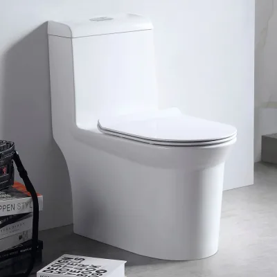 Унитаз-моноблок SM9610R безободковый, сиденье тонкое ДП, арматура, с гофрой и подводкой EvaGold EG050010