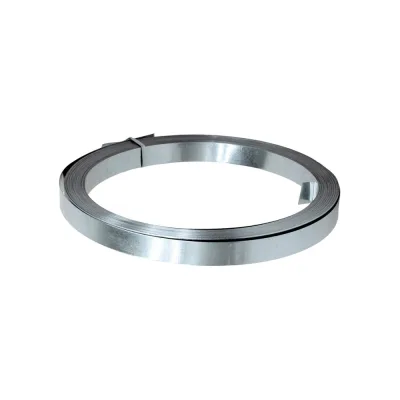 Лента STALMAX LP-TAR 20х0,55 (25м) тарная не перфорированная (арт. 10826) оц. сталь (уп. 5 шт) 10826-023
