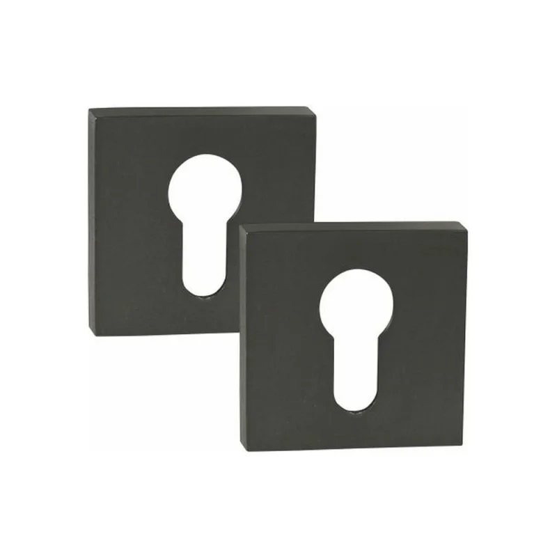 Ключевая накладка под цилиндр PALIDORE CWS graphit графит 98761032