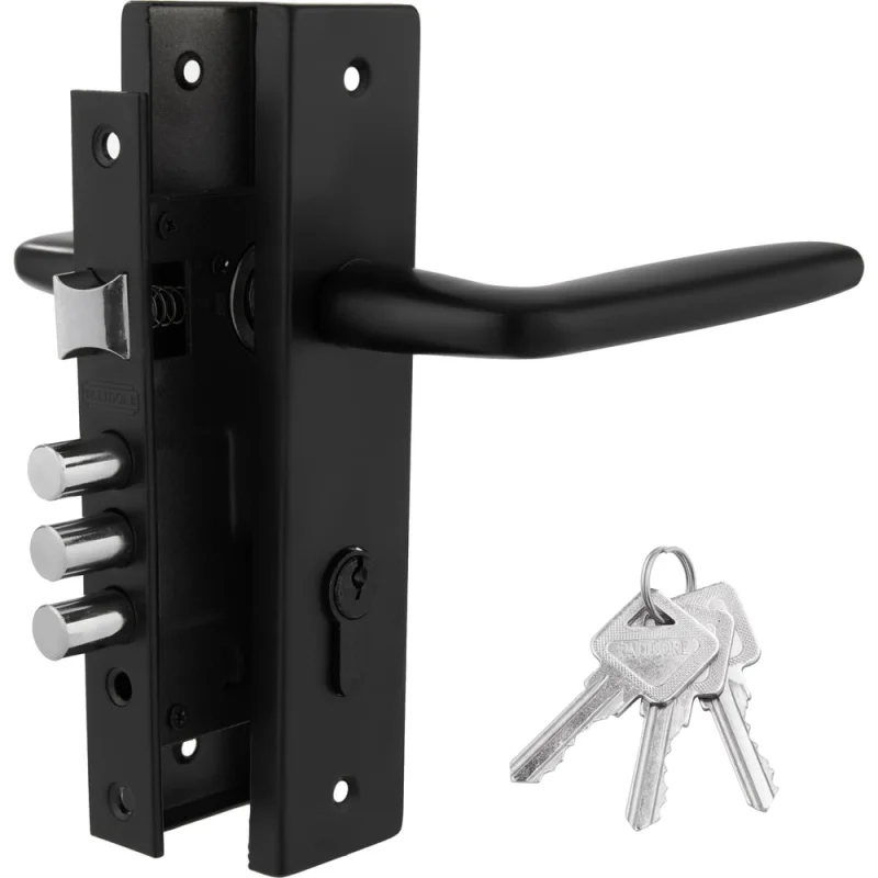 Дверной комплект PALIDORE LHS 6237-314, 3 ключа, Black 98761525