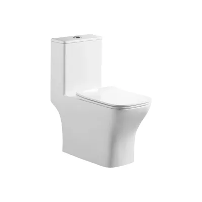 Напольный унитаз моноблок Azario lodi 665x350x750 с сиденьем микролифт az-8617 00079068