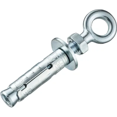 Анкер с кольцом Tecfi DX ZN М10x60 (2 шт)- пакет 148893