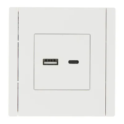 Розетка IEK Forte&Piano FP251 встраиваемая белая без заземления с USB-A/ Type-C (FP-U22-018-K01)