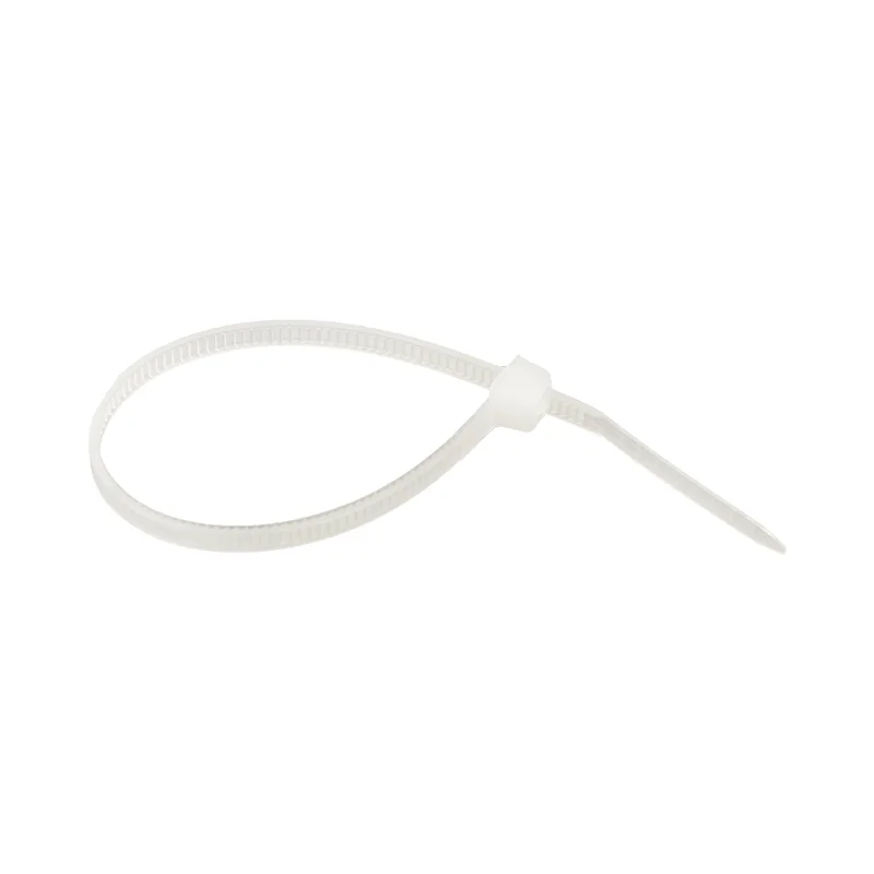 Стяжка кабельная EKF Basic 120х2,5 мм нейлоновая белая (100 шт.) (plc-c-2.5x120)
