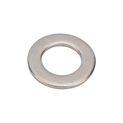 Шайба DINFIX А2 нерж., М20, DIN 125, 2 шт. 00-00002811