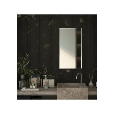 Зеркало настенное Bauform с фацетом FACET 15 EVOFORM 50х90 см SP 9076