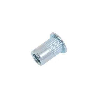 Резьбовые заклепки BOWT белый цинк м6 100 шт V03371