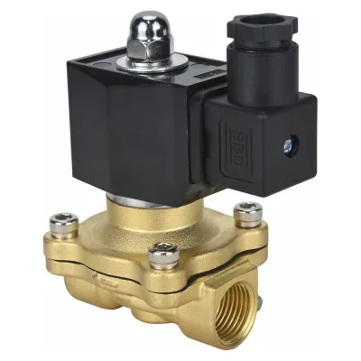 Клапан электромагнитный DN.ru VS2W-300V-NO Ду10 Ру10 двухходовой, латунь, VITON, 220В AC D130-03345