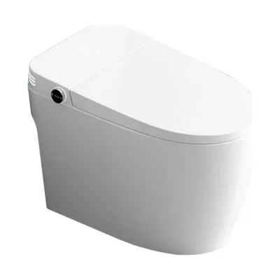 Умный электронный унитаз с функцией биде Santi Line SL-5035