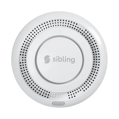 Π£ΠΌΠ½ΡΠΉ Π΄Π°ΡΡΠΈΠΊ Π΄ΡΠΌΠ° Sibling Smart Home Powernet-SM Π±Π΅Π»ΡΠΉ