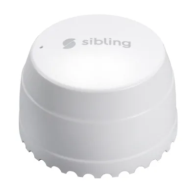 Π£ΠΌΠ½ΡΠΉ Π΄Π°ΡΡΠΈΠΊ ΠΏΡΠΎΡΠ΅ΡΠΊΠΈ Sibling Smart Home Powernet-FL Π±Π΅Π»ΡΠΉ