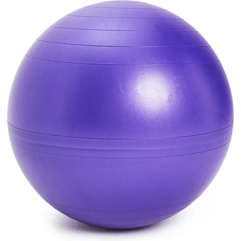 ΠΠΈΠΌΠ½Π°ΡΡΠΈΡΠ΅ΡΠΊΠΈΠΉ ΠΌΡΡ SISSEL SI Securemax Exercise Ball Π΄ΠΈΠ°ΠΌΠ΅ΡΡ 65 ΡΠΌ, ΡΠ΅ΠΌΠ½ΠΎ-ΡΠΈΠΎΠ»Π΅ΡΠΎΠ²ΡΠΉ 160.010 00-00-00