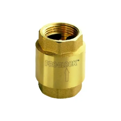 Клапан обратный VR 2" Pedrollo 50115