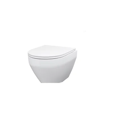 Подвесной унитаз AM.PM FlashClean Spirit V2.0 с сиденьем микролифт C701700SC
